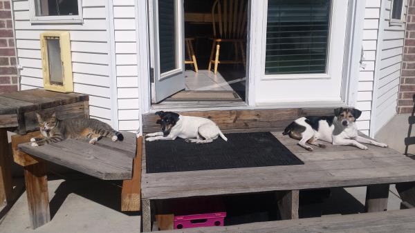 /Images/uploads/Humane Society of Utah/HSUCalendar/entries/1529thumb.jpg